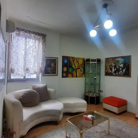 Beautiful Flat In The Center Of Shkodra, Albania